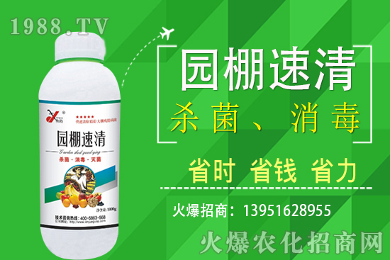 2020��11��5�վֲ������r������