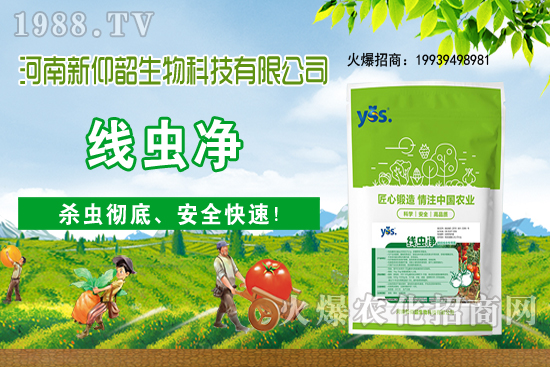 ����ֲ��ԓ��ô��ˮ������ֲ�ˮҪע����Щ���}�أ�