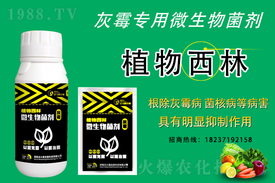 ��ù�������ε�ԭ������ô������Ч������