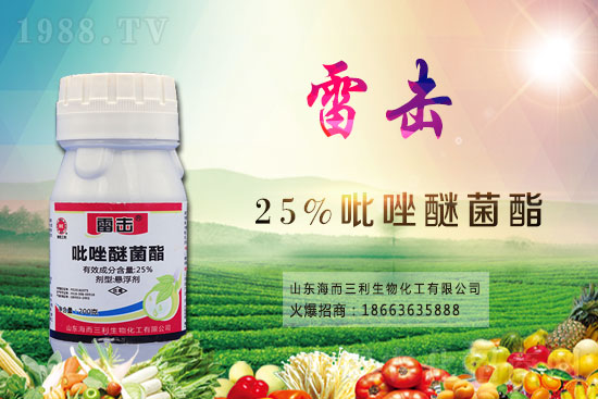 魔芋價格多少錢一斤？2021年魔芋種植前景如何？