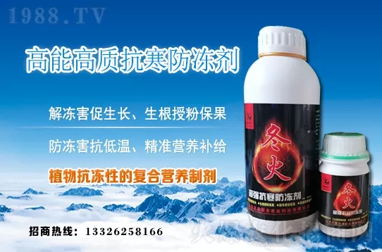 �紺�²����ʩ�����²�ʩ�ʷ�����ע�����(xi��ng)��