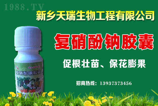 ���[һ�����ܮa(ch��n)���ٽ������[�r�����ϝq��