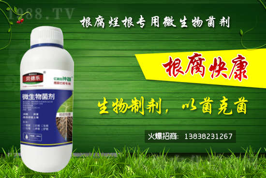 ΢������������θ�����������ô�x����