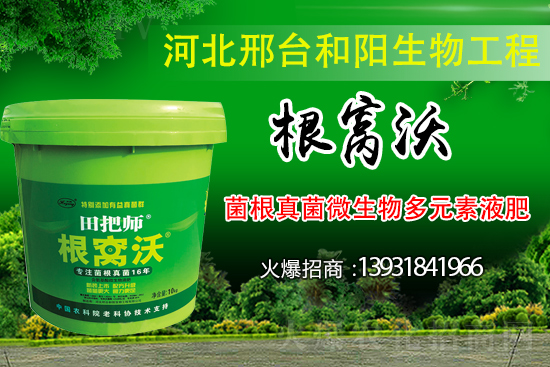 ��Щ��������������������ȡʲô��ʩ���Է�����