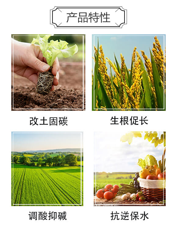 �VԴ�S�����-������-�A�S����_03