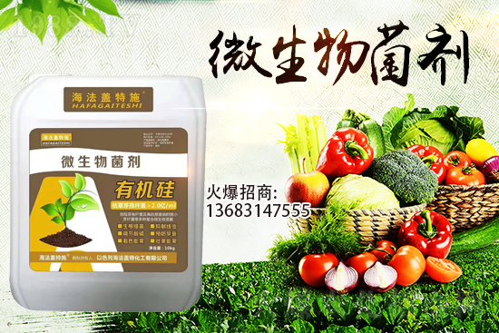 ������(l��i)�u��������m(x��)�͜�����������Ҫ�c(di��n)��