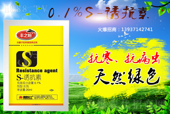 �P��ֲ���{����S-�T���������˽������