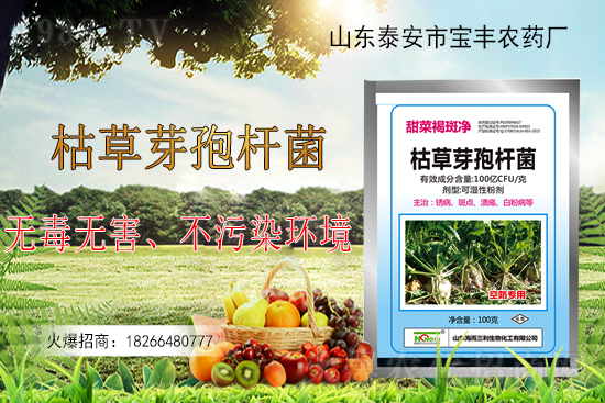 �ݲ�ѿ�ߗU���ܽ�Q������Щ���}���ݲ�ѿ�ߗU�����r(n��ng)�����ϵđ�(y��ng)�ã�