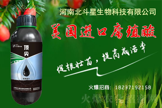 �ؗ͜l����������Nֲ��������������B(y��ng)�����o(h��)��