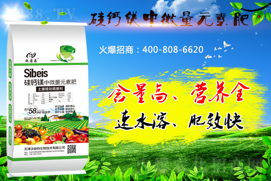 ���}�VԪ�ط����˽��������̎����Щ��