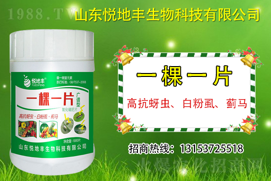 �߿����x���׷�ʭ���E�R��ʲô����һ�x������