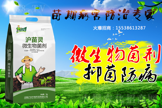 �������ڲ����������������������A(y��)�����������ˆ���