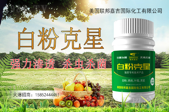 �����׷۲�����y�Է����������׷۲������ˎ����Ч���ã�