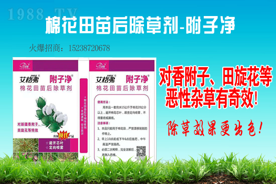 ����¡���݄��r���߄�2020.12.29