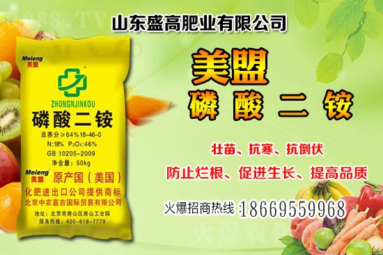 ����С���r��߀���^�m(x��)�ϝq�᣿12��С���r���������