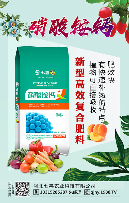 春季辣椒育苗需注意哪些事項(xiàng)？辣椒種植栽培技術(shù)！