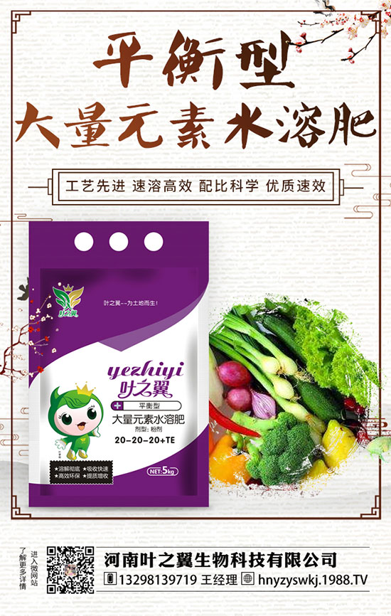 牡丹什么時候開花？如何延長牡丹開花時間？