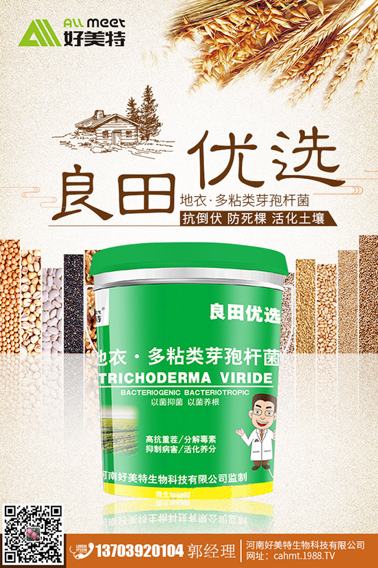 番茄青皮果到底什么原因？番茄青皮果如何有效預(yù)防？