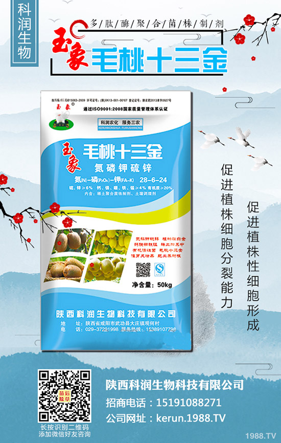     ���裺�����B�m(x��)�q�r���L(f��ng)�U�����2020-3-13��������r��