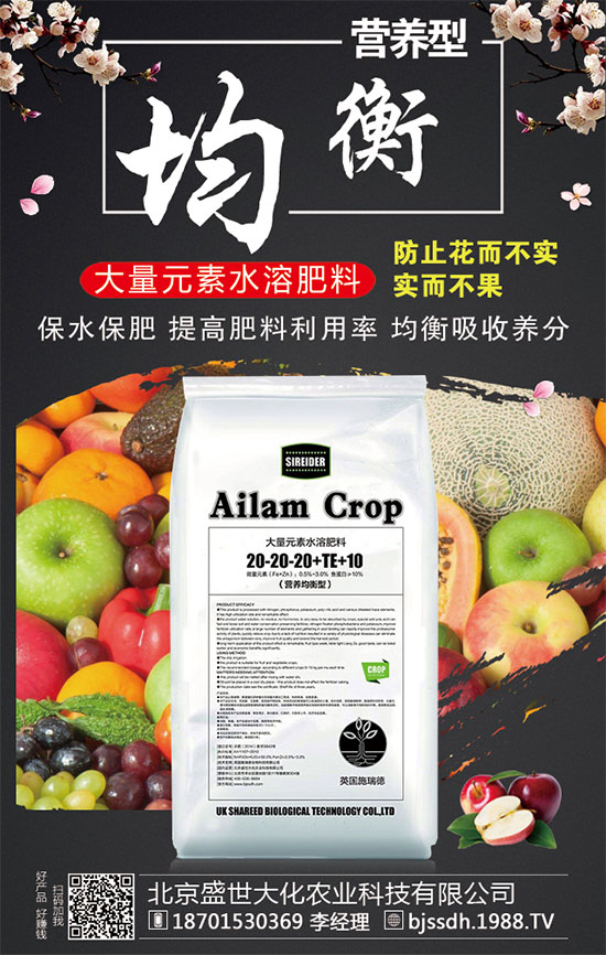 ����������С����ʲôΣ����С���������a�ȴ�ʩ��