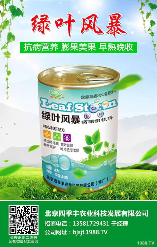 �����׷۲�����y�����������׷۲��l(f��)��ԭ�򼰷��Σ�