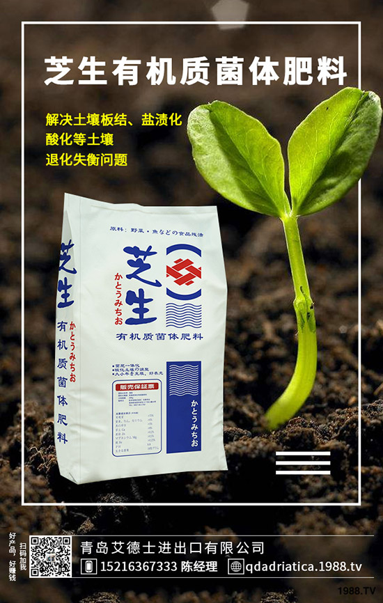 ��������ô��Ч�������������ص�ʹ�÷�����