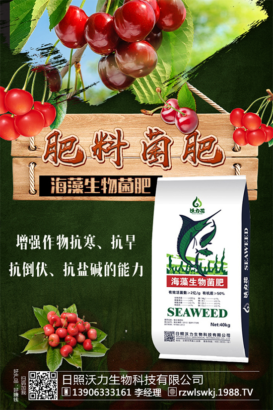 �R���Ј�ǰ����ô�ӣ��R��Nֲ����Ҫ�c(di��n)����Щ����