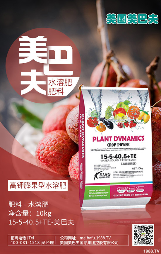 茼蒿怎么種？茼蒿的種植時(shí)間及方法