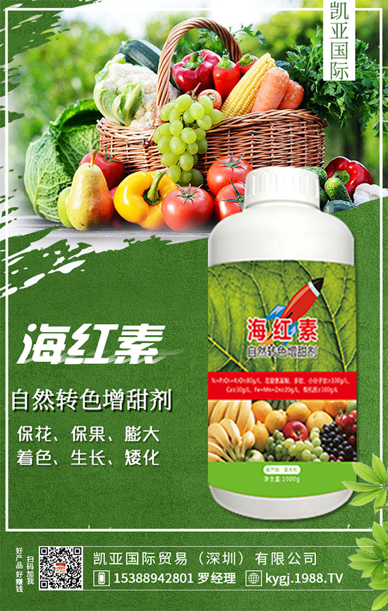 �����}��ʲô�r�g�Nֲ�������}���Nֲ������