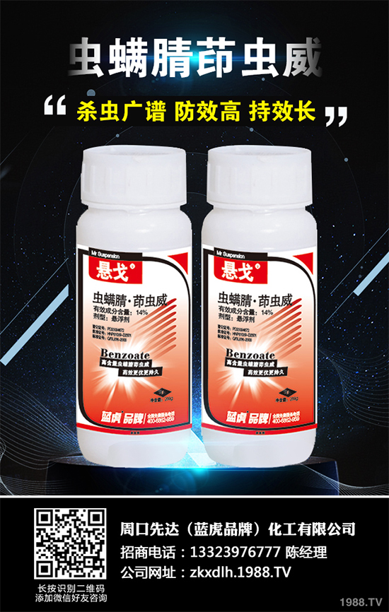 �{(di��o)�Ј�(b��o)�棺��������������Ј�(ch��ng)����ǰ���Д�