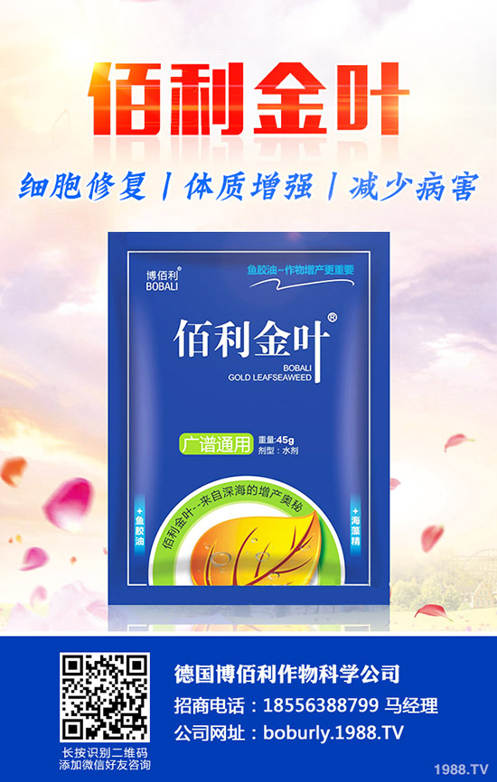 ��������A(y��)���ʺ����l(f��)���ʺ�������a(b��)����