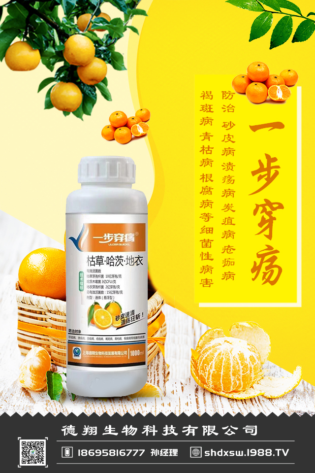 ��������Ƽ����޹�˾