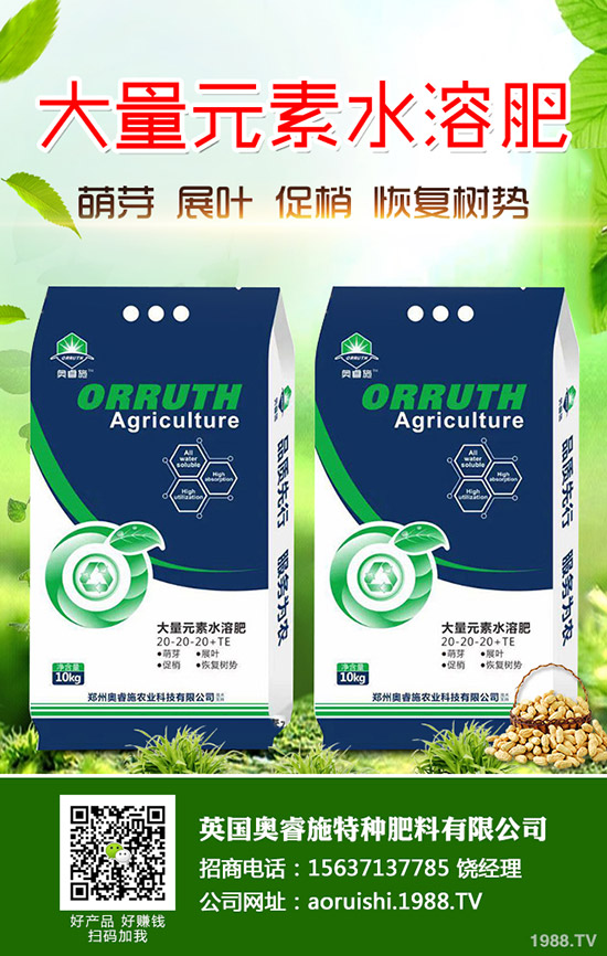     ���������׷���������һ�@���@�r�������߄��A(y��)�y2020-3-30��