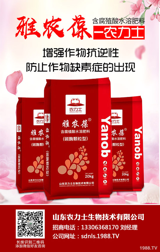     ӡ�������И�(bi��o)�������������؃r�������߄ݾC�Ϸ���2020-3-30��