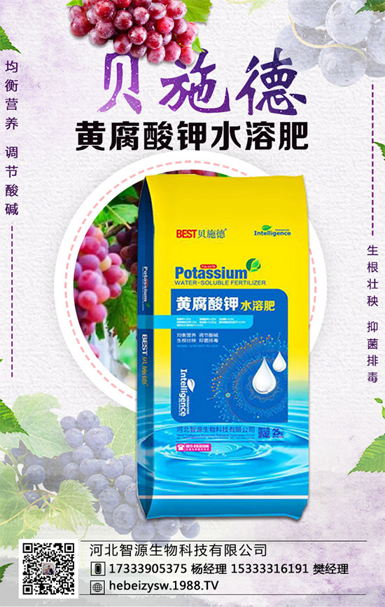 �۲˵ĠI(y��ng)�B(y��ng)�r(ji��)ֵ����Щ�������۲���ʲô��̎��