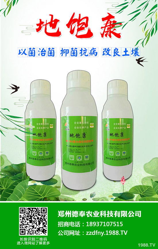 �ϹϺ��ǲ�����Щ�Y�����ϹϺ��ǲ����η���