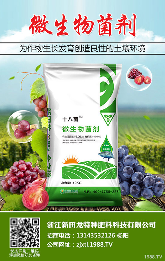 �Ϲ����Ҏ(gu��)�����Ϲϵ�ʩ�ʷ���