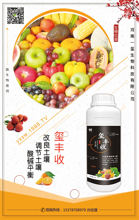 ��������ô�Nֲ��������Nֲ���g(sh��)��