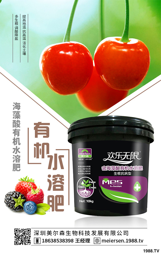 楊梅的品種有哪些？該如何栽培？春季楊梅種植技術(shù)