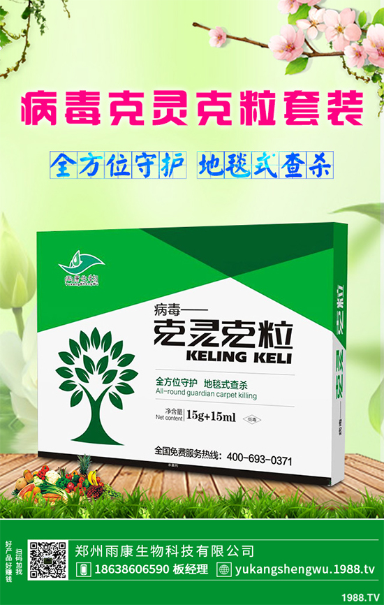 �W�ˌ�Ҫ���á���ɭ�i�\����