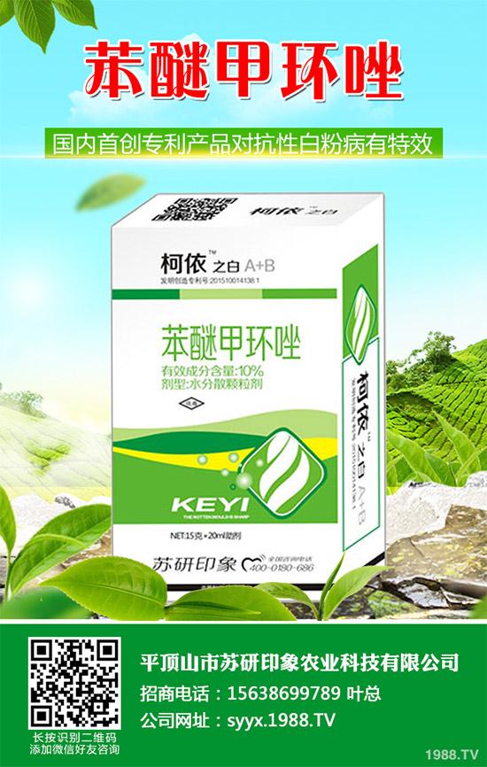     ��ذl(f��)�F(xi��n)���Ծ�������(y��ng)���赾��������뿾����Ŀ�ˎ�Ԇ��}