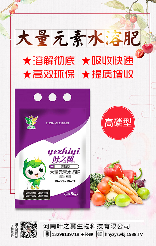 �������L(zh��ng)��(x��)������Щ�����ɵ����g����Ҫ�c(di��n)��