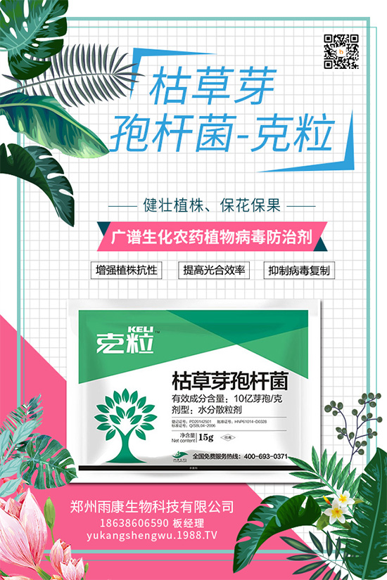 ���Ȫ���(chu��ng)��ֲ��Դ������ˎ���ذ����u��