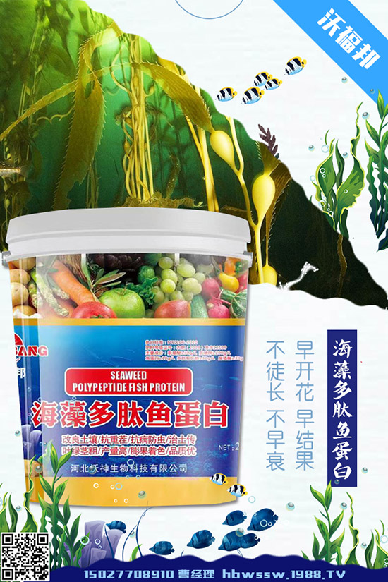     ���ӷNֲ��Ҫע����Щ��(w��n)�}�����ӵ�ˮ�ʹ���Ҫ�c(di��n)��