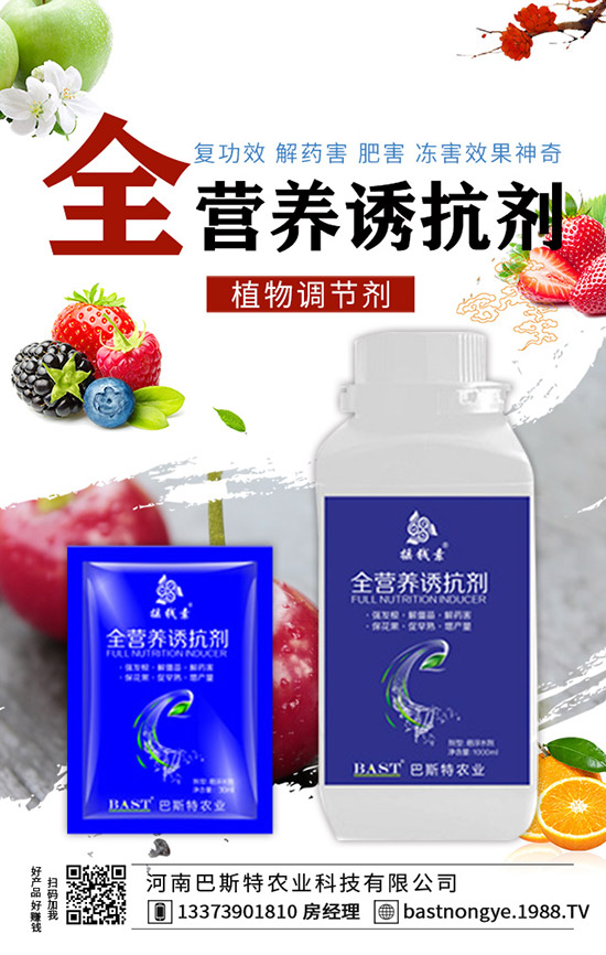 �Y����{��ôʩ�����Y����{��ʩ�ʼ��g��