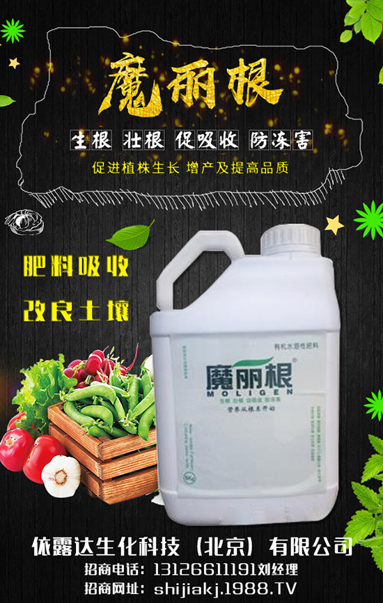 香蔥對環(huán)境的要求有哪些，香蔥的種植季節(jié)及日常管理！