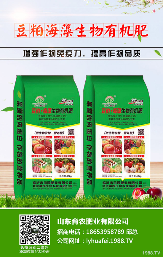 ��z�ʾ�ԓ������磿�����������z�ʾո߮a(ch��n)�������