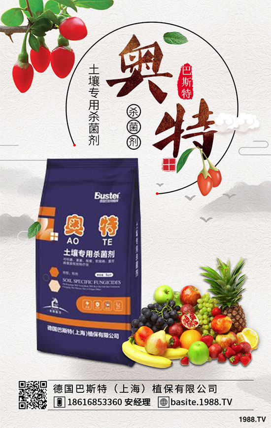 ���ߺ���������ʲô�^(q��)�e�������߷N�ӵķNֲ������