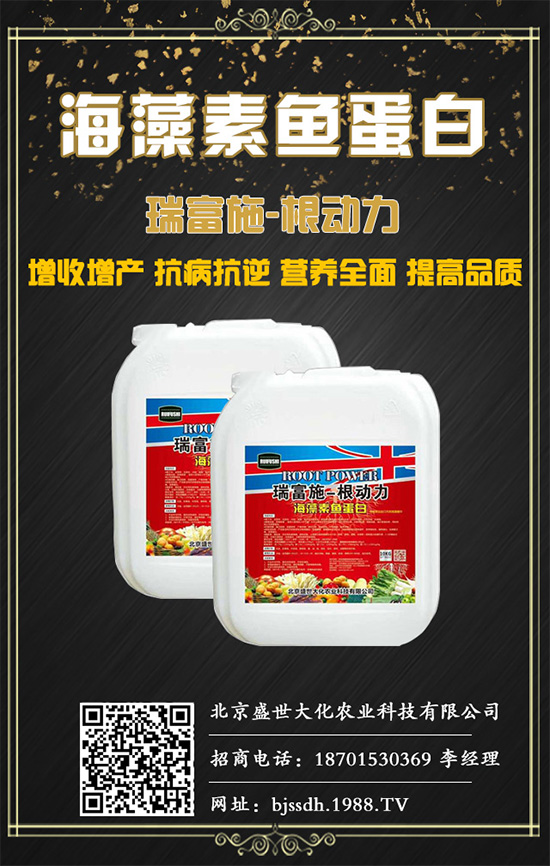 土茯苓是什么植物？土茯苓的功效與作用有哪些？
