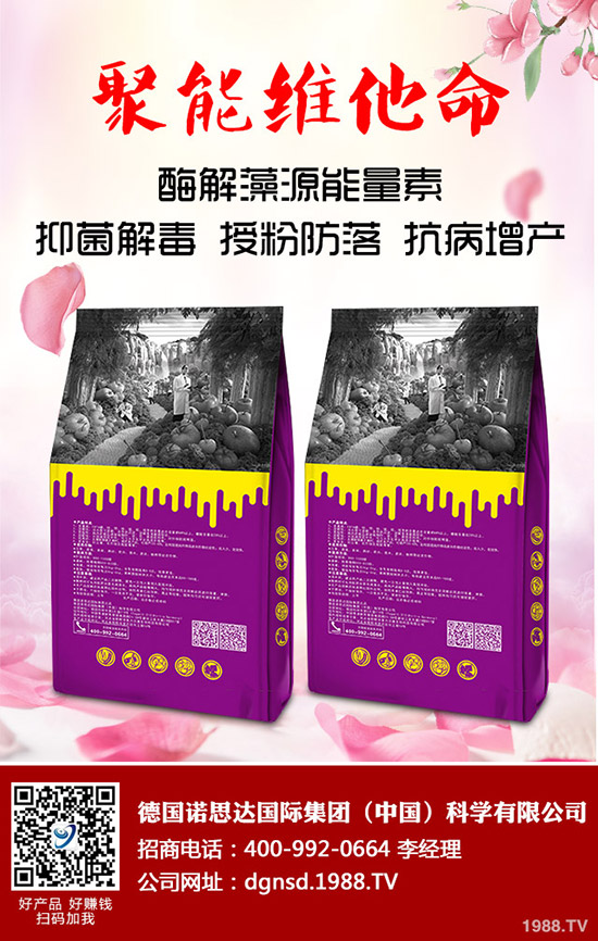 �ܱ��Ϲ���ô�Nֲ���ܱ��Ϲϵ����༼�g(sh��)Ҫ�c(di��n)�c������